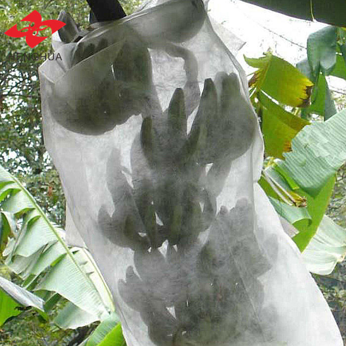 Нетканый материал из полипропилена, полученный методом спанбонда, для сельского хозяйства | УФ-стойкое укрывное полотно и ткань для защиты урожая