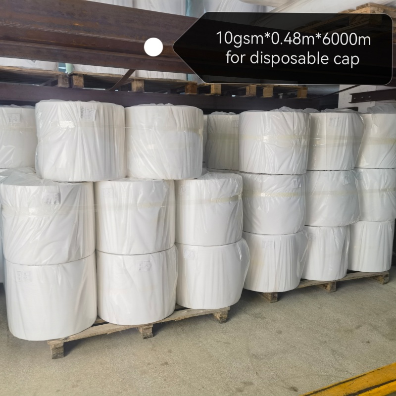 10grs pp spunbond fabric